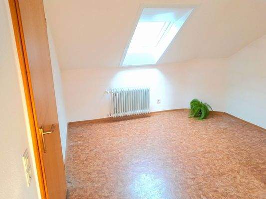 Weinbergblick via Dachfenster