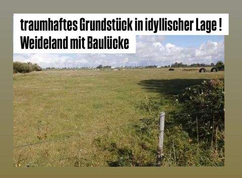 Friedrichskoog Grundstücke, Friedrichskoog Grundstück kaufen