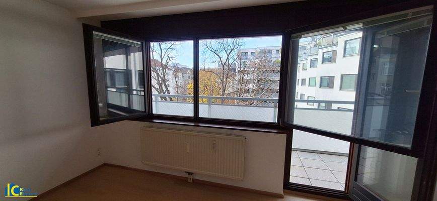 Blick in die Baumkronen