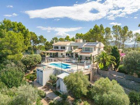 Selva Häuser, Selva Haus kaufen