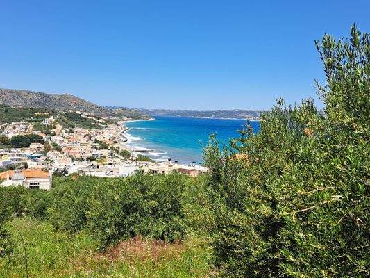 WhatsApp Image 2026-03-16 at 13.41.18.jpeg