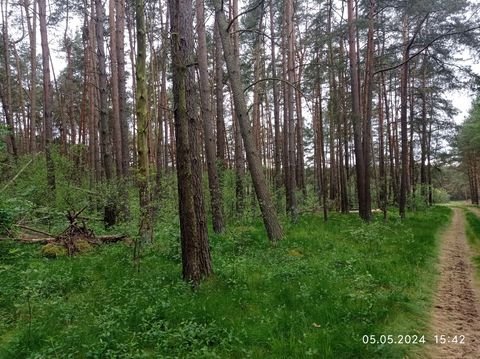 Bresegard bei Picher Bauernhöfe, Landwirtschaft, Bresegard bei Picher Forstwirtschaft