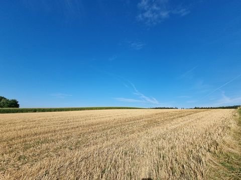 Johanniskirchen / Ammersdorf Bauernhöfe, Landwirtschaft, Johanniskirchen / Ammersdorf Forstwirtschaft