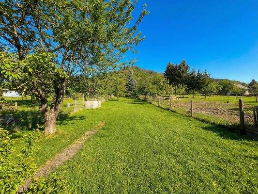 Blick in den großen Garten