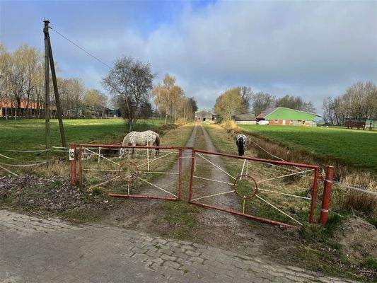 Leben mit Pferden direkt am Hof