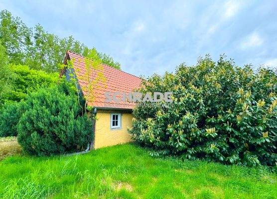 ...umgeben von gewachsener Natur