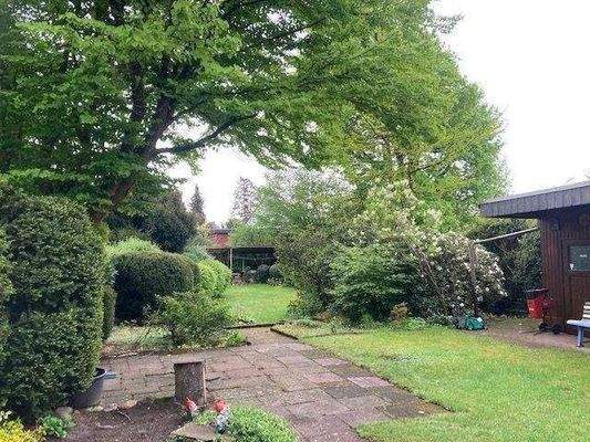 Gepflegtes Garten-Grundstück