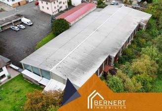 Luftbild  Lagerhalle+Bürogebäude 1