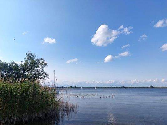 Segelboote vor Semlin