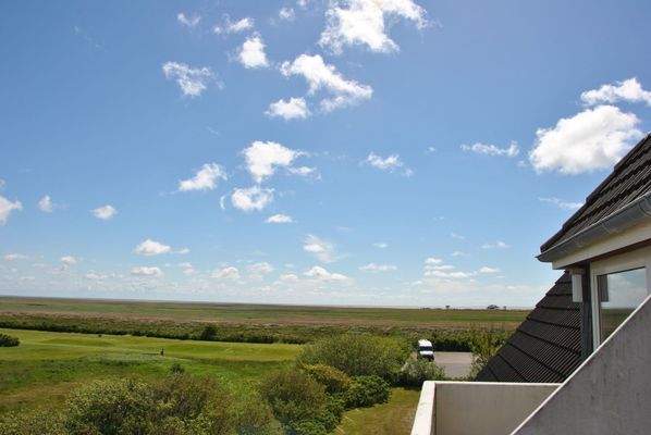 2015-05-25 13.31.07.jpg