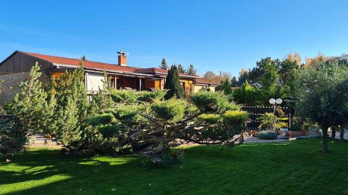 Garten mit Blick auf Terrasse