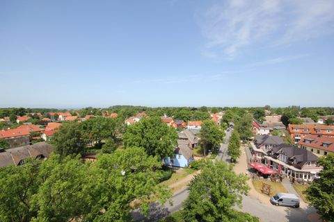 Wustrow Ladenlokale, Ladenflächen 