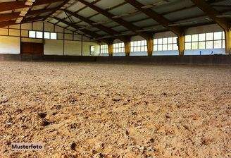 Keine Originalbilder