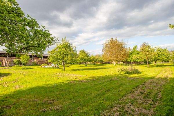 250511_Grundstück Königseggwald-12