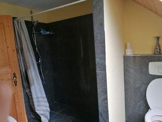 ebenerdige Dusche mit Tageslicht.jpg