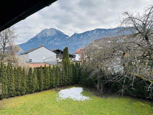 Weitere Impressionen vom Grundstück mit Altbestand