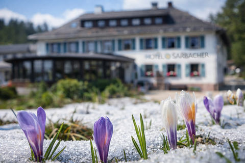 Gernsbach Gastronomie, Pacht, Gaststätten