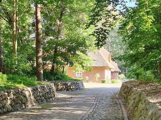 Eigene Aufahrt Waldidyll