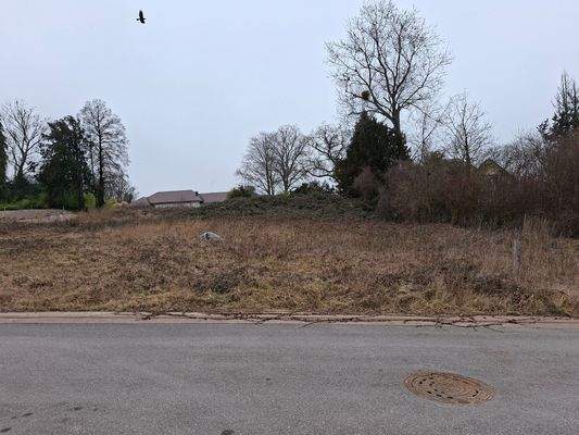Bauplatz von vorn.jpg