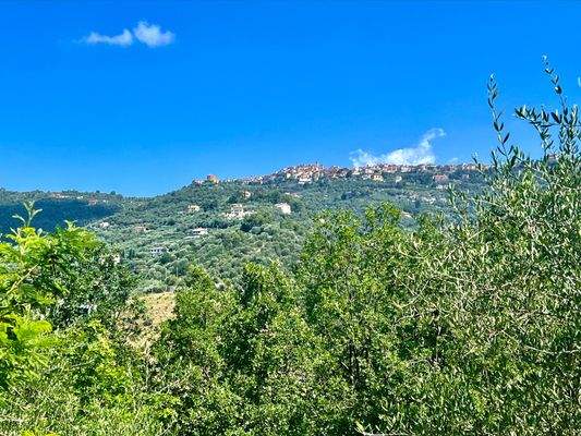 PE925_03 TERRA ITALIA IMMOBILIEN_LIGURIEN_PERINALD