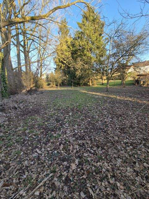 Stennweiler Grundstücke, Stennweiler Grundstück kaufen