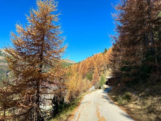 Traumhaus-Sarntal-Traumblick-Panorama-Kuot-Schneehase-20-min-zum-zentrum-Hof-geschlossener Hof-Zweitwohnung-Südtirol-Hof-Maso-Sarentino-Berghaus-