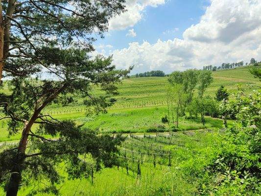 Ausblick vom Vorplatz.jpg