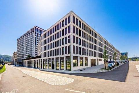 Heidelberg Ladenlokale, Ladenflächen 