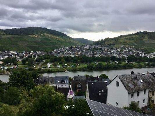 Moselblick 1