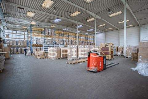 Bremen Halle, Bremen Hallenfläche