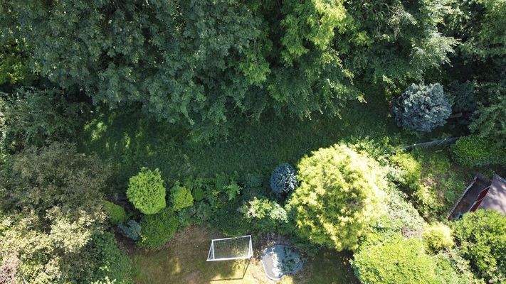 SG_S16_hinterer_Garten