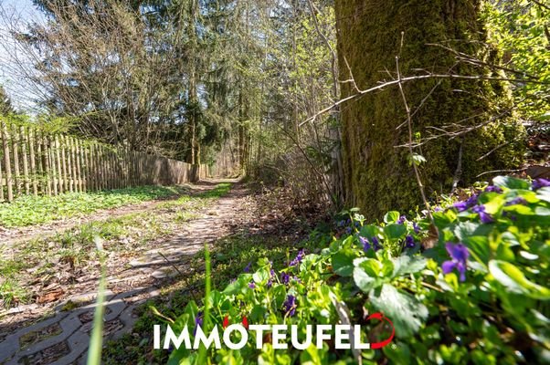Waldweg