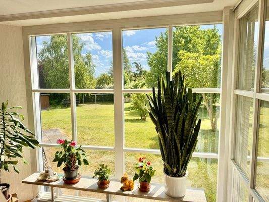 Aussicht vom Wohnzimmer