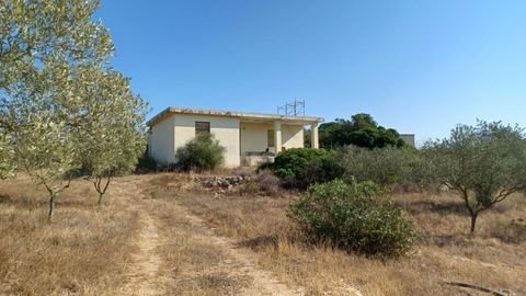 Onifai - SARDINIEN Häuser, Onifai - SARDINIEN Haus kaufen