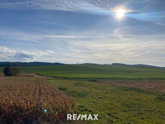 Mitten im Grünen -  hier geht das Herz auf