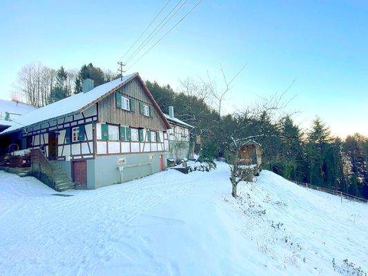 Viel Platz vor dem Haus