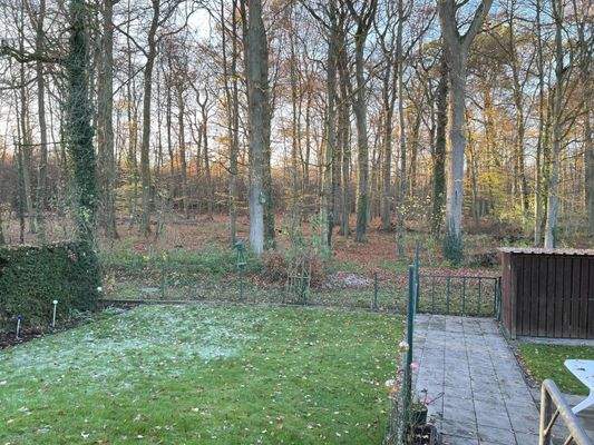 Blick vom Wintergarten