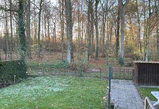 Blick vom Wintergarten