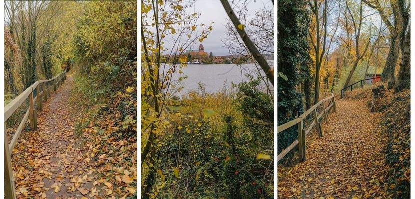 Umgebung-Spaziergang-mit-Domblick