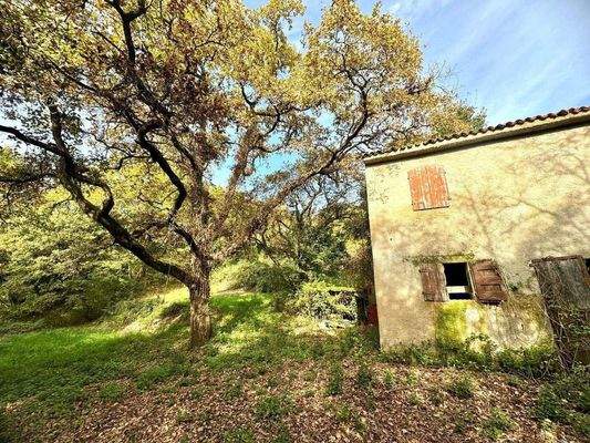 WhatsApp Image 2024-11-05 at 11.24.01 (4).jpeg