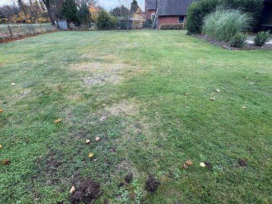 begrünter Gartenbereich