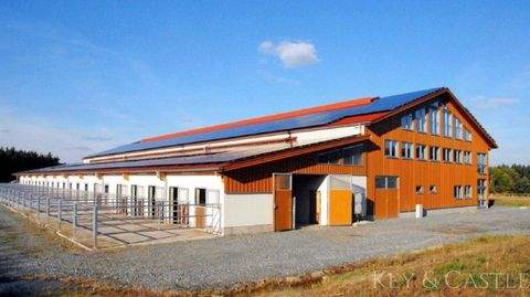 Bayreuth Bauernhöfe, Landwirtschaft, Bayreuth Forstwirtschaft