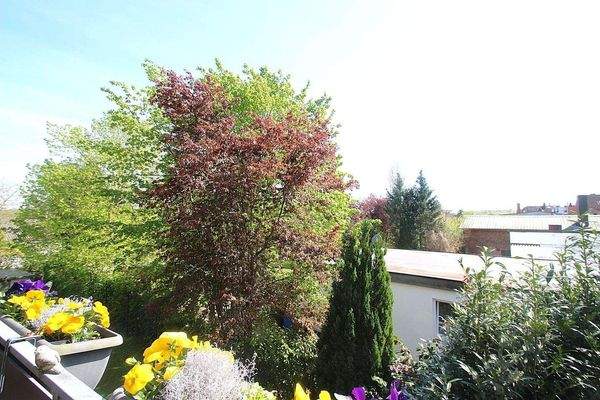 Aussicht vom Südbalkon