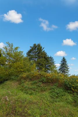 Grundstück Leimen mit Beispielprojekt von HUF HAUS