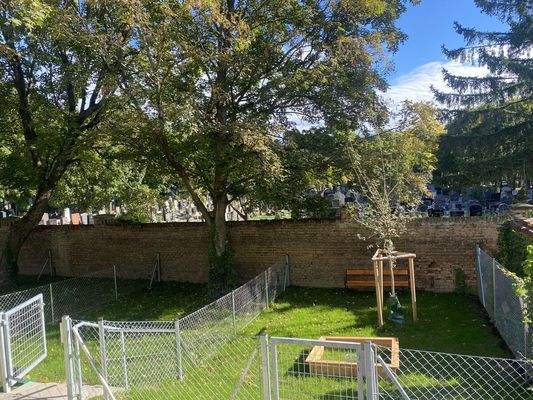 IGemeinschaftsgarten