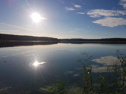 Impressionen am Morgen