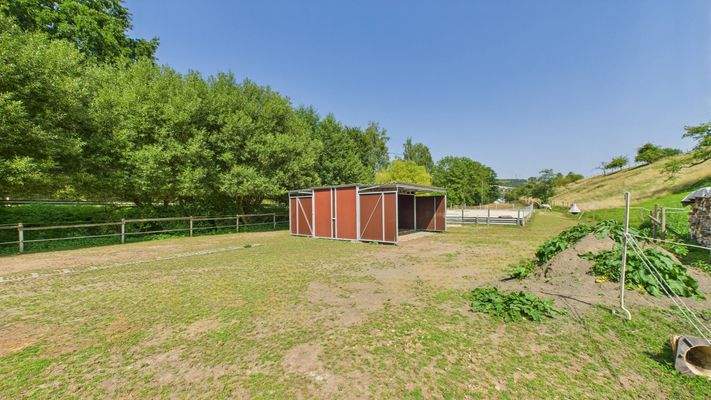 CAM01984G0-PR0509-STILL090