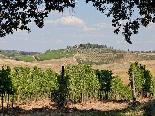 Grundbesitz | Castellina in Chianti