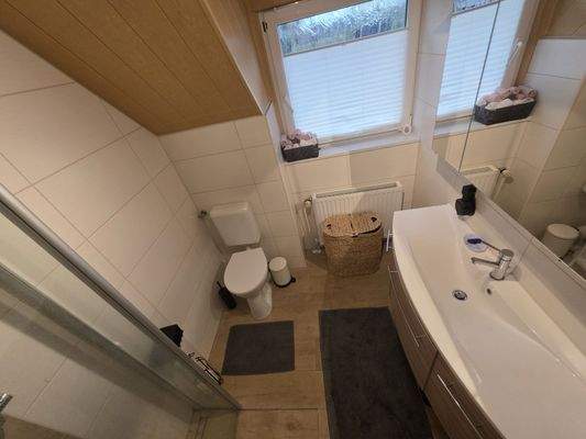 Gäste WC mit Dusche