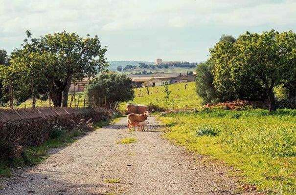 176_07_San Lorenzo_Anwesen_Blick